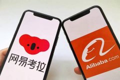 什么是电商 做直播 淘宝 或网红带货的人 都从哪